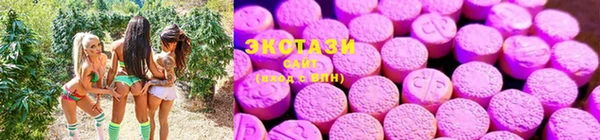 прущие грибы Сосновый Бор